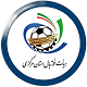 لوگو